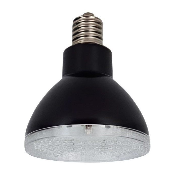 Self-Ballasted Led Lighting Fixture